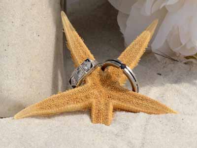 wedding rings on starfish
